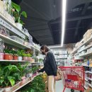 이노엠씨 이미지