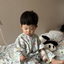 대구 우리아이아동병원 폐렴 3박4일 1인실 입원 후기 (입원실, 비용, 식사, 주차)