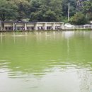 숲속낚시터 이미지