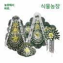서안동농협장례식장 쇼핑하우