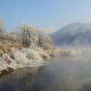 그리움한잔 이미지