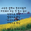 💖인연(因緣)에 대한 이야기 💝 이미지