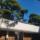 거리로R | 고급짐의 끝판왕 스타벅스 장충라운지R점 리저브매장 내돈내산 후기