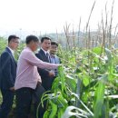 미로정원 이미지