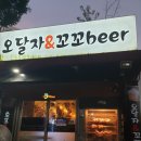 오달자엔꼬꼬비어 이미지