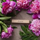 도깨비성인PC 이미지