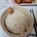 향남읍 행정리 503-1 | 향남 도시락 맛집 배달 전문점 브라더한정식도시락 포장 후기