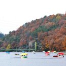 힐링카페 이미지