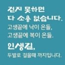 바라산(8월 21일 수요일 10시 30분) 이미지