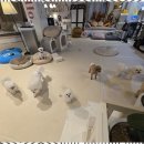 행복한강아지 이미지