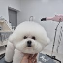 파파독 동해 이미지