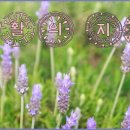 생활의지혜 이미지