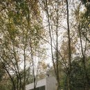 Carvalho Araújo completes monolithic concrete house in a Portuguese forest 이미지