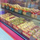 청사포로 128번길 | 부산 해운대 빵집 추천 앨리스도넛 사라다 청사포 카페 솔직후기