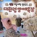 머리목장 | 대관령 양떼목장 아이랑 겨울 방문 후기 평창 겨울여행 필수 코스