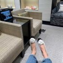 까멜리아 이미지