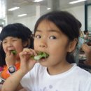 삼보초등학교 이미지