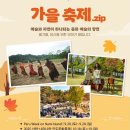 (국내기획여행)10월18일~19일 10월 한달만 개방하는 황금물결 비밀의정원 "홍천은행나무숲"+ 남이섬 가을축제 +영월 1박2일 여행 이미지
