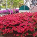 (주)나원 이미지