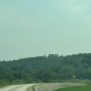 [소백산꽃차이야기 팜스테이]경상북도 영주 반려견 동반 가능 펜션