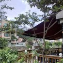 하르방 고을 이미지