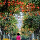 부천중앙공원 이미지