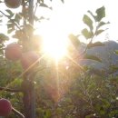 산마루농장 이미지