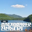 충북 여행 가볼만한 곳, 진천 농다리 미르309 출렁다리