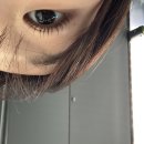조이래쉬바