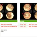 질경이수원 이미지