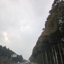 에코랜드수영장 | 한라산 근처 호텔 고민(난타vs에코), 에코랜드 호텔 겨울 야외 수영장 이용, 내돈내산 솔직 후기