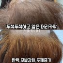 밀도뷰티 이미지