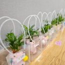 신양초병설유치원 이미지