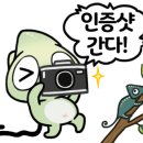 송강동물병원 이미지