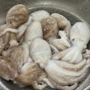 활인가 | 전국농부들 | 제철 알배기 활 쭈꾸미 택배 후기, 손질법