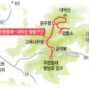 장성 꽃 화원 이미지