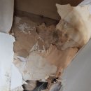 노원-현장-1588 이미지