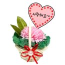 스칸디아모스 카네이션 바구니 만들기 이미지