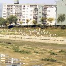 수안초등학교 이미지