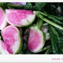 연분홍민박 이미지