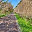 숙지공원 삼거리2 이미지