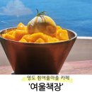 여울카페 | 부산 영도 흰여울마을 오션뷰 카페 '여울책장' 망고빙수 후기(주차 정보 O)