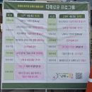 노량 해안도로길 | 남해 벚꽃 명소 충렬사에서 만난 봄, 남해가봄 축제 다녀온 후기 (불꽃놀이,드론쇼)