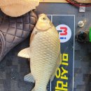 고령낚시 이미지