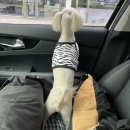 마벨펫 천안점 이미지