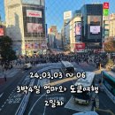 배방1교차로 공원쪽 건너 지하철쪽 횡단보도 ( 배방1교차로 1 ) | 3월 3박4일 엄마와 도쿄 여행 2일차 - 우에노공원 - 스타벅스 리저브 로스터리 - 시부야 스크램블 교차로