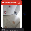 씨유하안사거리 | 야자나무가 되🌴