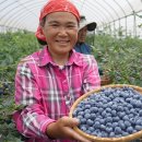 해남슈퍼 이미지