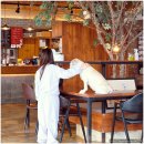 도그어바웃 이미지