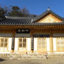 동화사 Daum카페